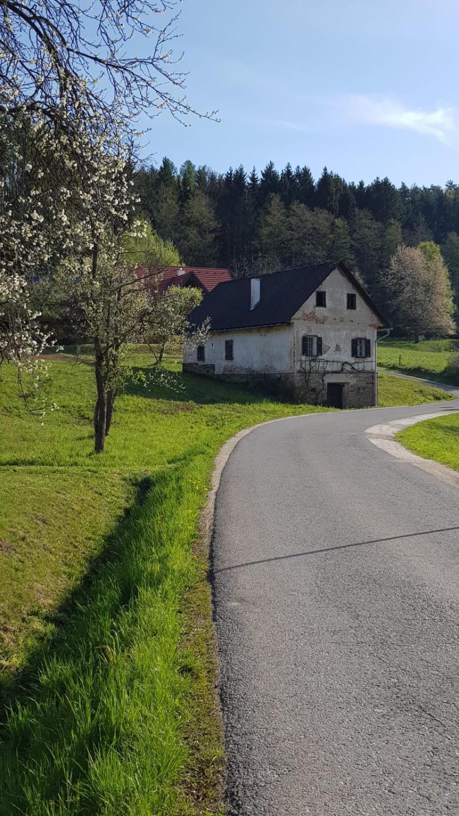 Presshaus Alte Muehle Vila Stainz Exterior foto