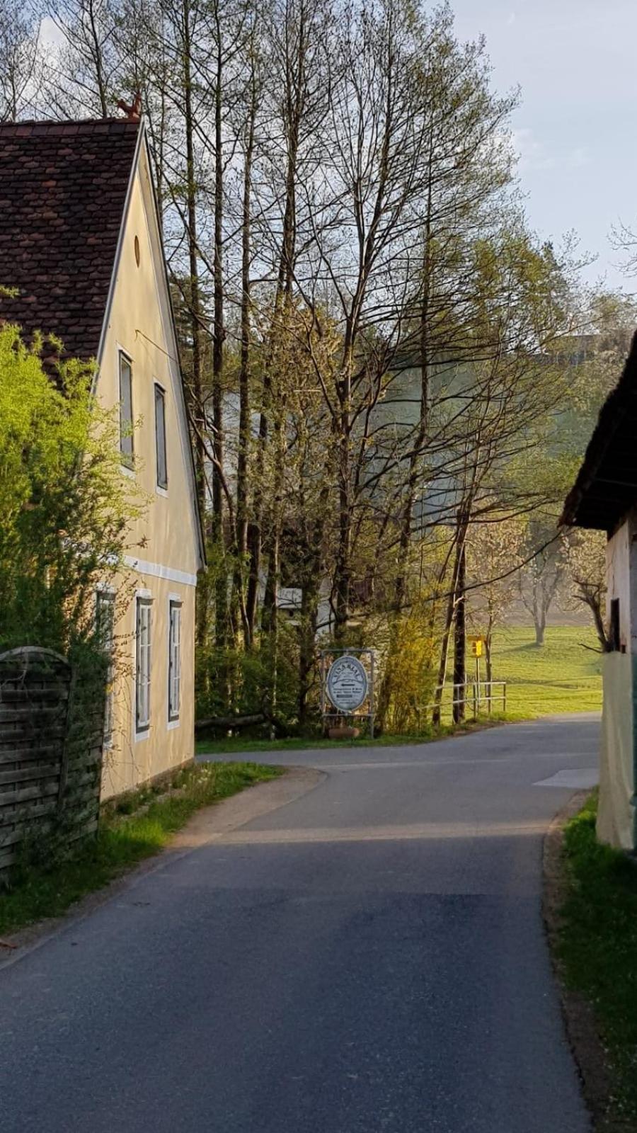 Presshaus Alte Muehle Vila Stainz Exterior foto